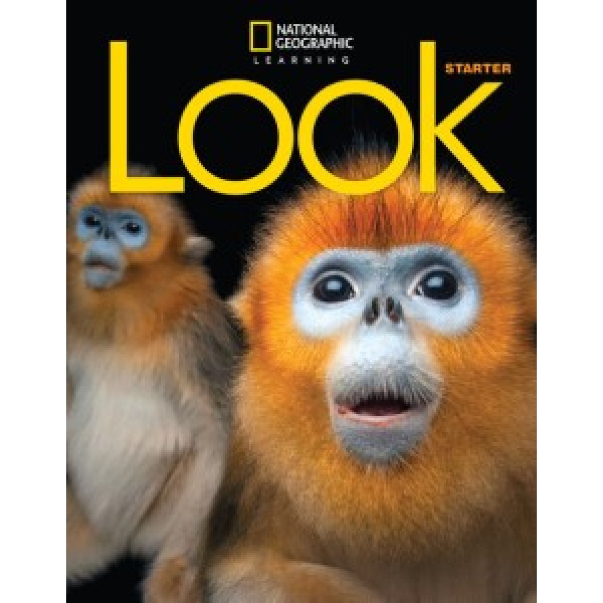 Look  Starter SB with the Spark platform (email) British English