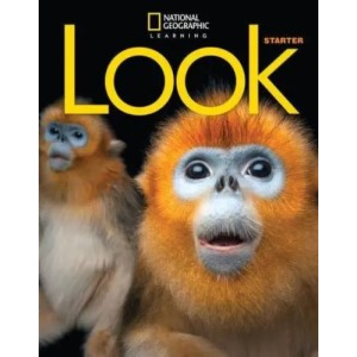 Look  Starter WB with the Spark Platform British English