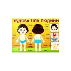 Плакат. Будова тіла людини