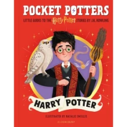 Pocket Potters: Harry Potter