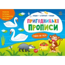 Пиши-витирай. Пригодницькі прописи. Гайда до лісу