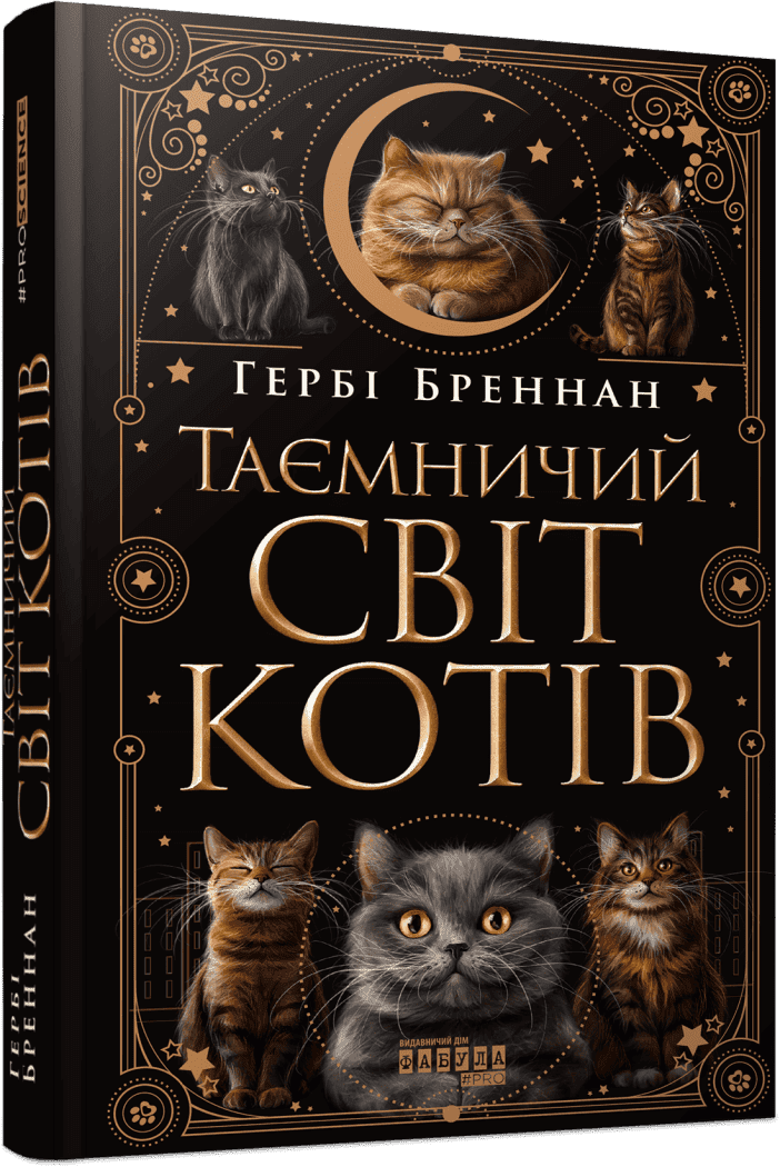 Таємничий світ котів
