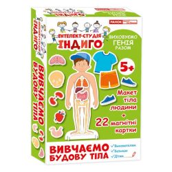 Вивчаємо будову тіла. Серія «Інтелект-студія ІНДИГО»