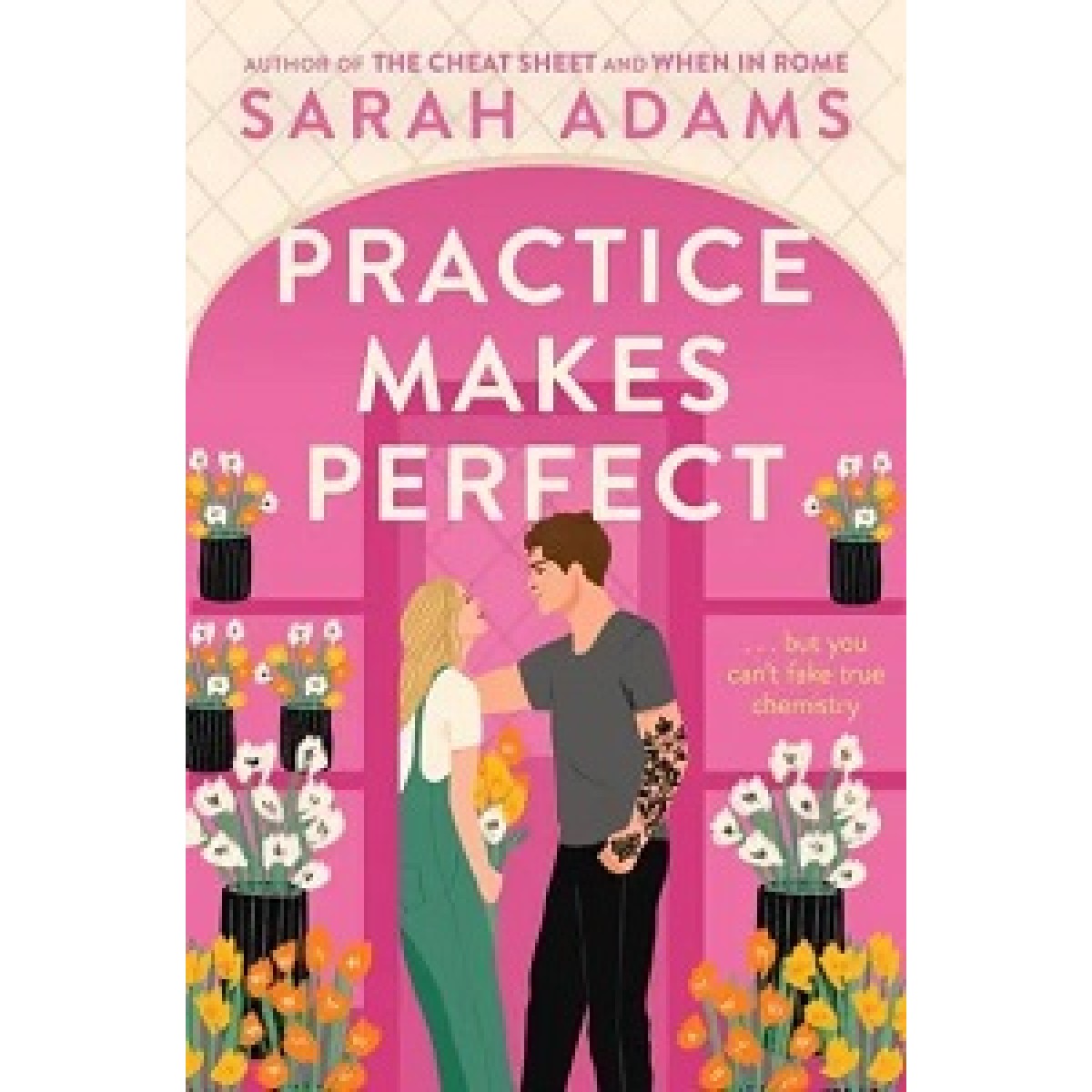 When in Rome Book2: Practice Makes Perfect