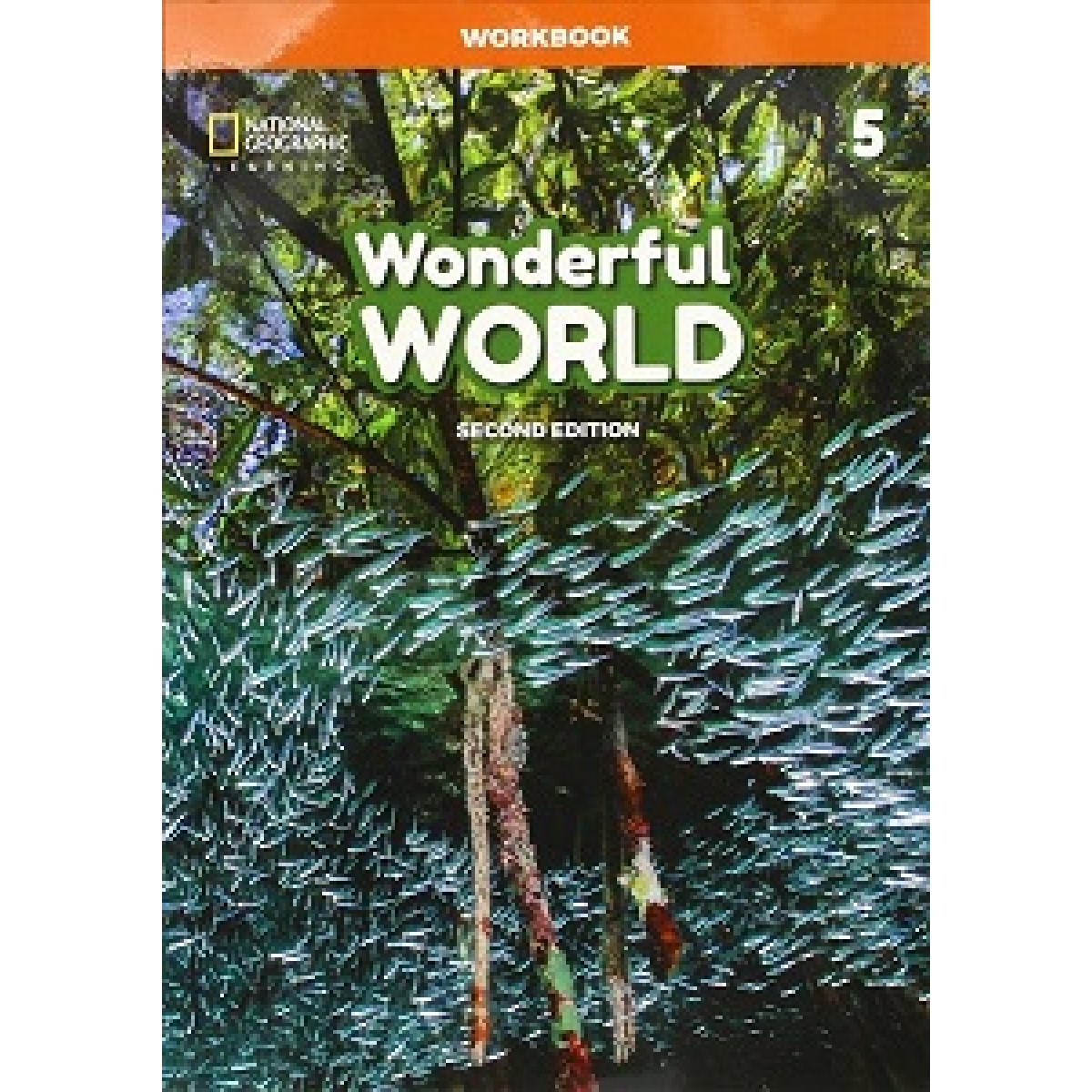 Wonderful World 2nd Edition 5 Workbook